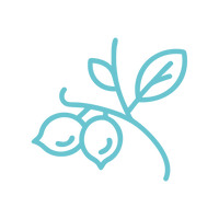 Pure Botanical Ingredients